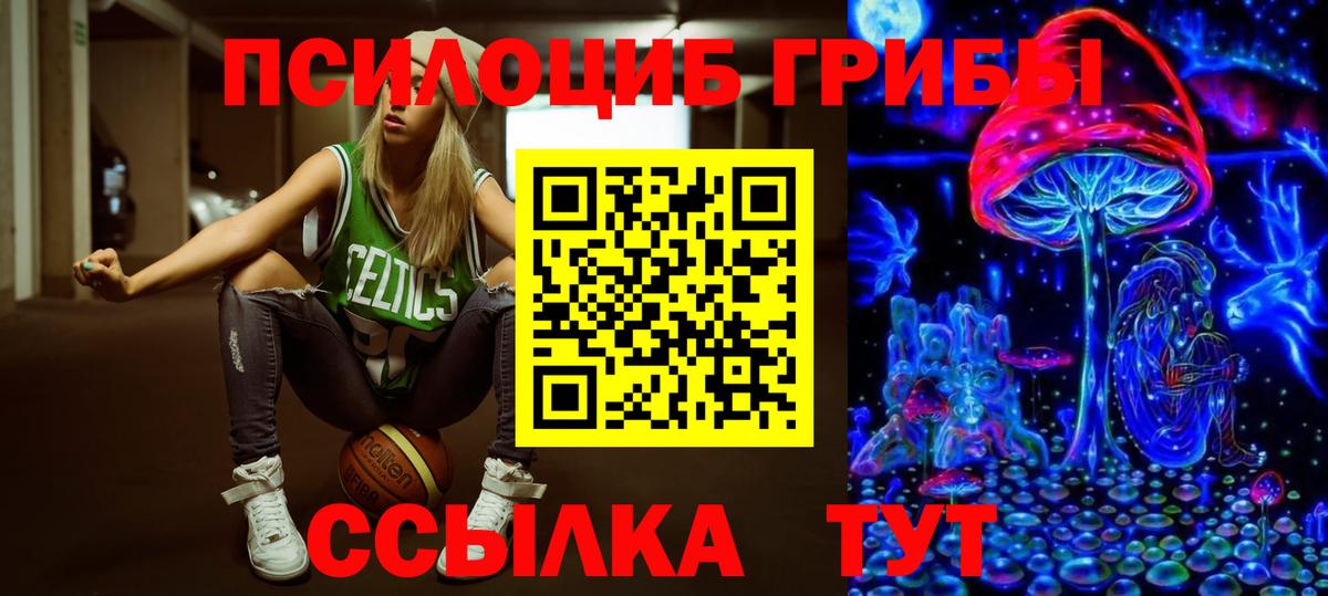 Галлюциногенные грибы прущие грибы  Галлюциногенные грибы Psilocybine cubensis  Вход с VPN  Анжеро-Судженск 